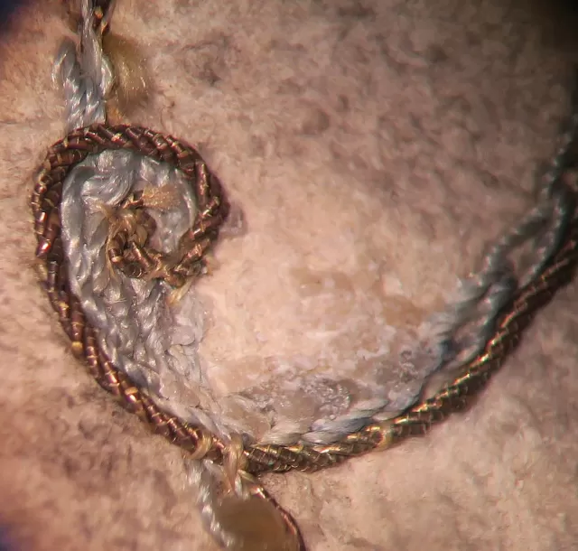 Vue sous binoculaire d'une tache de cire